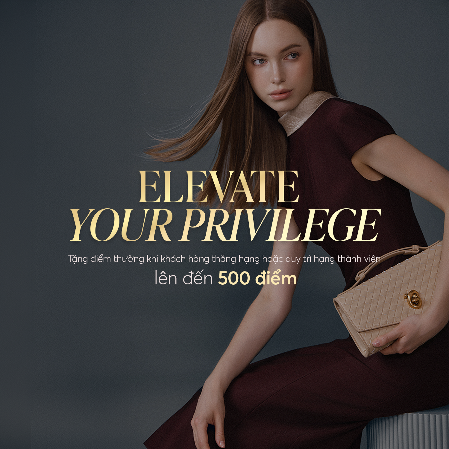 Elevate Your Privilege